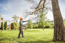 How Our Tree Care Process Works  in  Sergeant Bluff, IA